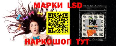 индика Пенза
