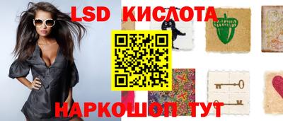 индика Пенза