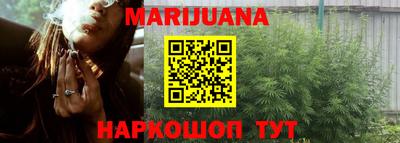 индика Пенза