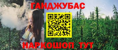 индика Пенза