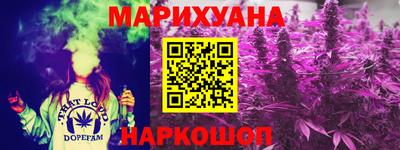 индика Пенза