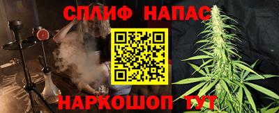 индика Пенза