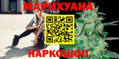 индика Пенза