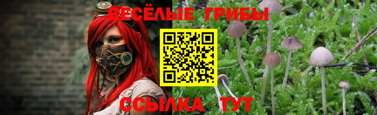 Ростов Великий  Галлюциногенные грибы мицелий  Вход с VPN  купить   Галлюциногенные грибы Psilocybe 
